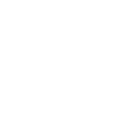 Web Presence