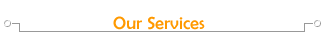 [ Our Services ]